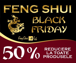 FengShui4Life - Black Friday 2023