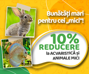 Animax - -10% La acvaristica si animale mici