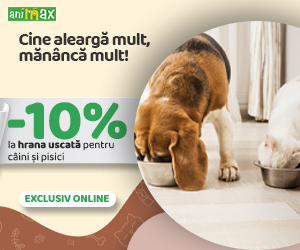 Animax - 10% Reducere la toată hrana uscată destinată câinilor și pisicilor.