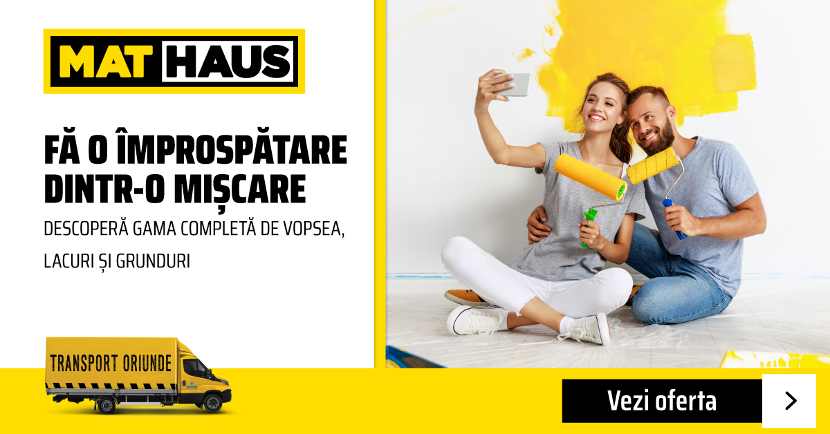 Categorie Vopsea