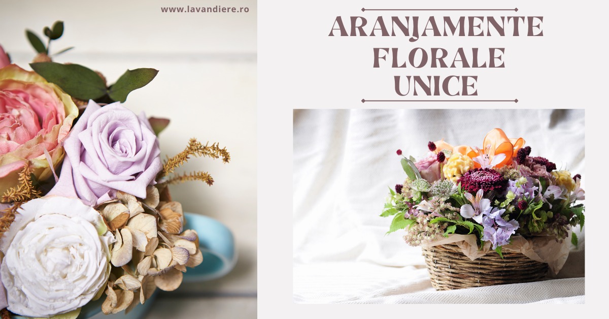 Lavandiere - Cadouri florale 2024, 2